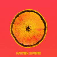 Various Artists - Madtech Summer 2017 artwork