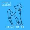 Dream of Me - Single