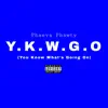 Y.K.W.G.O. (You Know What's Going On) - Single album lyrics, reviews, download