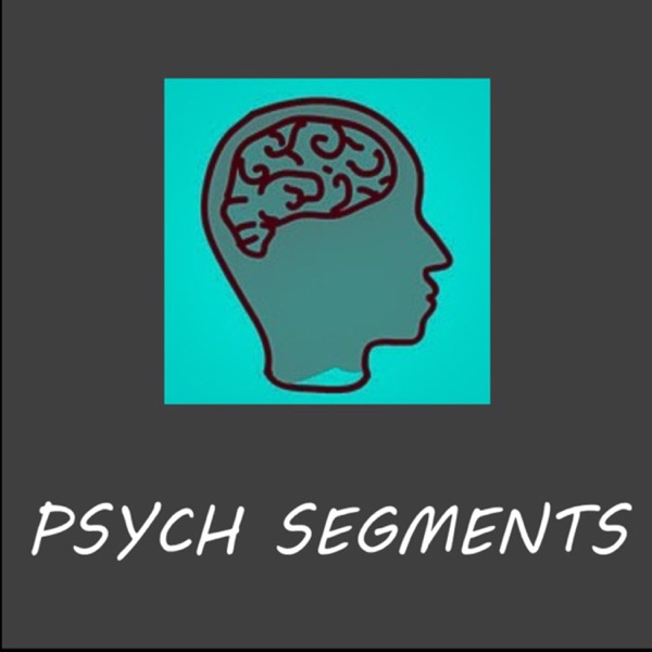 Piaget Series Pt. V Formal Operational Stage Psych Segments