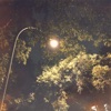 Blume - 12:41Am