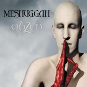 Meshuggah - This Spiteful Snake