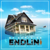 Endlini (feat. Manqonqo & Tonic Jazz) artwork