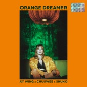 Orange Dreamer artwork