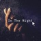 In the Night (feat. King Shaun) - Bolaryn lyrics