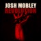Voices In Your Head - Josh Mobley lyrics