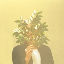 FRENCH KIWI JUICE cover art