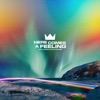 Here Comes a Feeling - Single