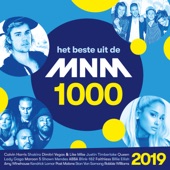 Mnm 1000 (2019) artwork