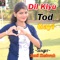 Dil Kiyu Tod Gayi - Sunil Kushwah lyrics