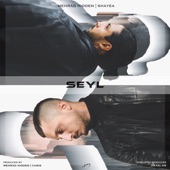 Seyl (feat. Shayea) artwork