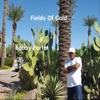 Fields of Gold - Single