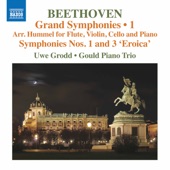 Beethoven: Symphonies Nos. 1 & 3 (Arr. J. N. Hummel for Flute & Piano Trio) artwork