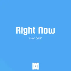 Right Now - Single by SEV album reviews, ratings, credits