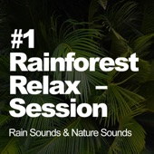 #1 Rainforest Relax Session artwork