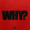Why? - Single album lyrics, reviews, download