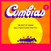 The Best of Chicha: Cumbias Vol. 1 - Spicy Tropical Sounds From Perú