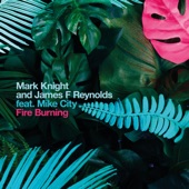Fire Burning (feat. Mike City) artwork