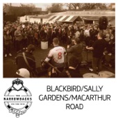 Blackbird / Sally Gardens / MacArthur Road artwork