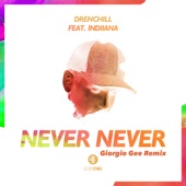 Never Never (feat. Indiiana) [Giorgio Gee Extended Remix] artwork