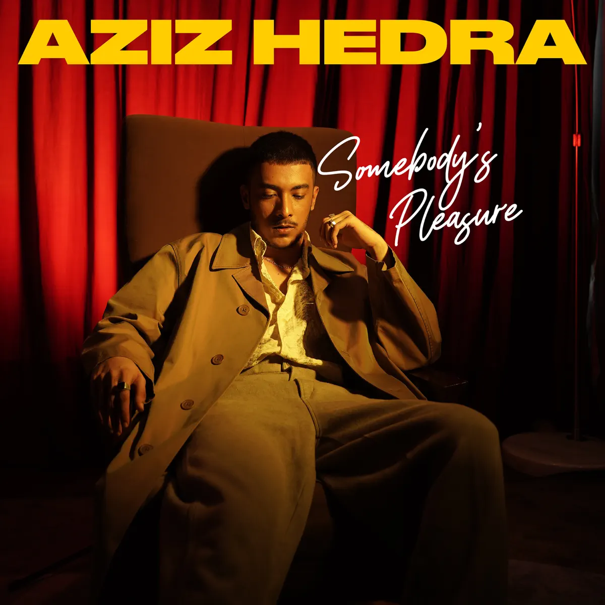 Aziz Hedra - Somebody's Pleasure - Single (2023) [iTunes Plus AAC M4A]-新房子