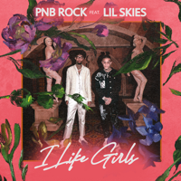 PnB Rock - I Like Girls (feat. Lil Skies) artwork