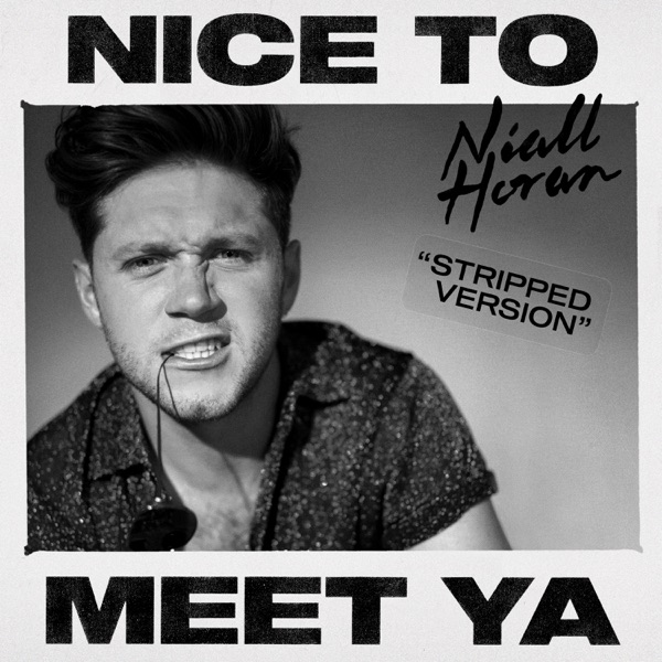 Nice to Meet Ya (Stripped Version) - Single - Niall Horan