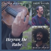 Heyran De Rabe (feat. Xelef Diljan & Murad Demir) artwork