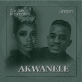Akwanele artwork