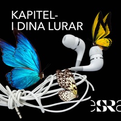 Kapitel - i dina lurar