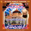 Aa Gaye Mangte Tumhare, Vol. 18 album lyrics, reviews, download