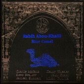 Blue Camel artwork