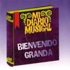 Mi Diario Musical, 1996