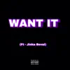 Want It (feat. Jinka Beval) - Single album lyrics, reviews, download