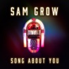 Song About You by Sam Grow iTunes Track 1