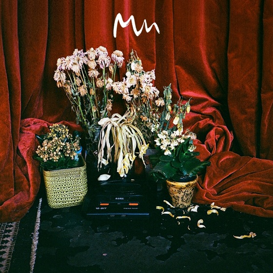 Cover artwork for Beta