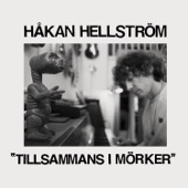 Tillsammans i mörker artwork