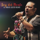 Soy del Monte (En Vivo) artwork