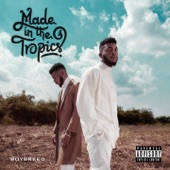 Made in the Tropics artwork