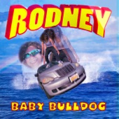 Baby Bulldog - Rodney