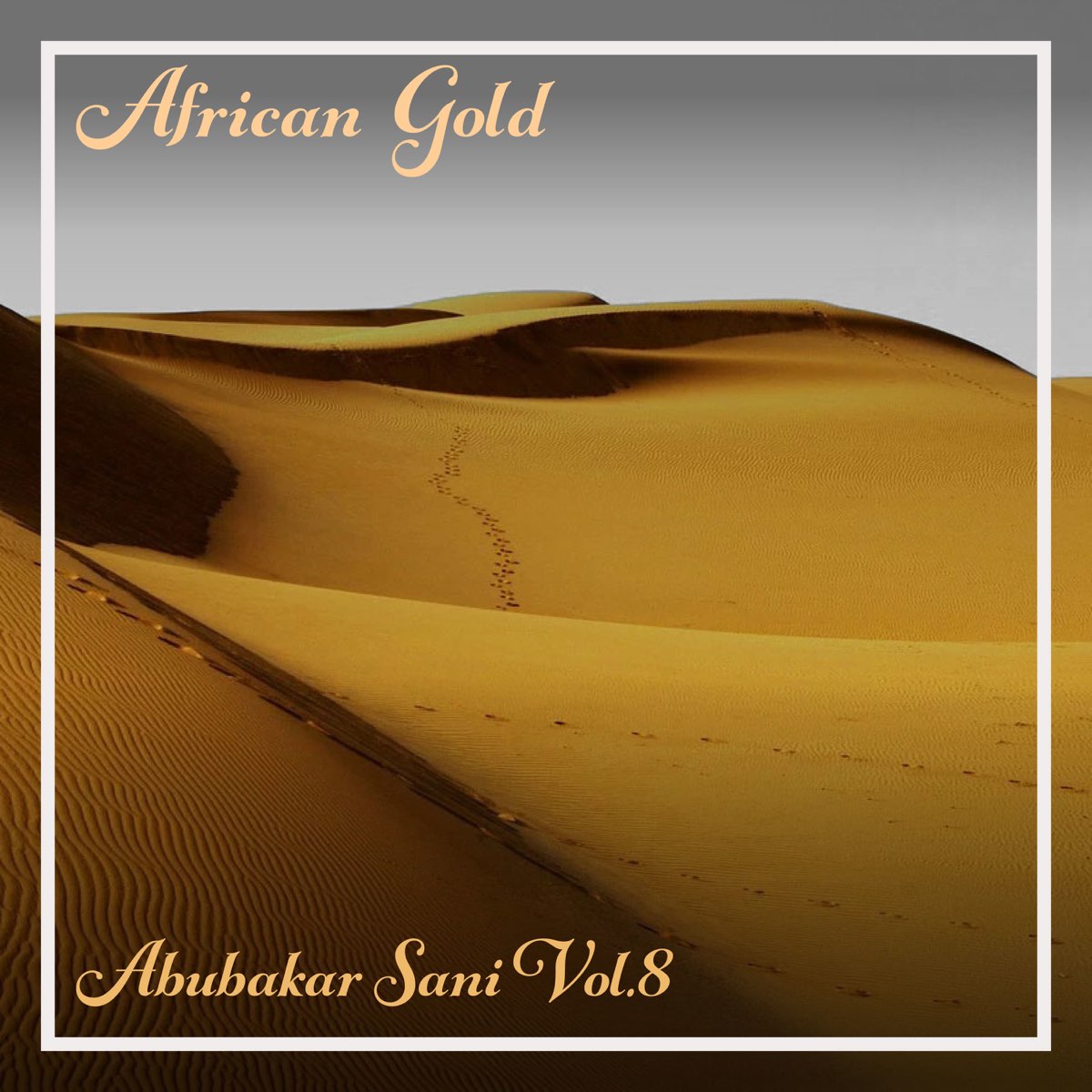 African Gold Abubakar Sani Vol 8 By Abubakar Sani On Apple Music