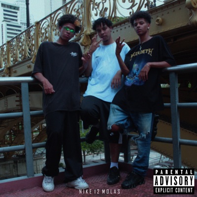 12 mola diferenciado