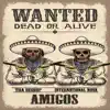 Amigos - Single (feat. International Nova) - Single album lyrics, reviews, download