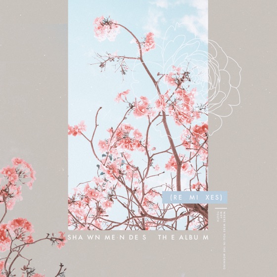 Cover artwork for Why (feat. Leon Bridges)