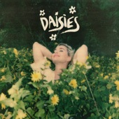 Daisies artwork