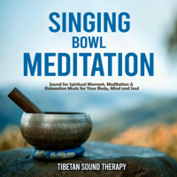 Tibetan Sound Therapy - Singing Bowl Meditation: Sound for Spiritual Moment. Meditation & Relaxation Music for Your Body, Mind and Soul. (Original Recording) artwork