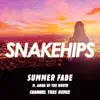 Summer Fade (Channel Tres Remix) [feat. Anna of the North] - Single album lyrics, reviews, download