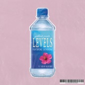 Levels (feat. JuTheKing) artwork