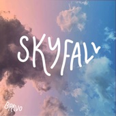 Bravo - Skyfall