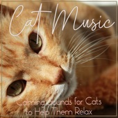 Cat Music, Calming Sounds for Cats to Help Relax artwork